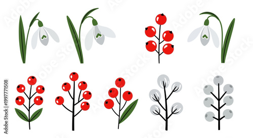 A mid-century botanical set of vector flowers and plants with white snowdrops and red berries