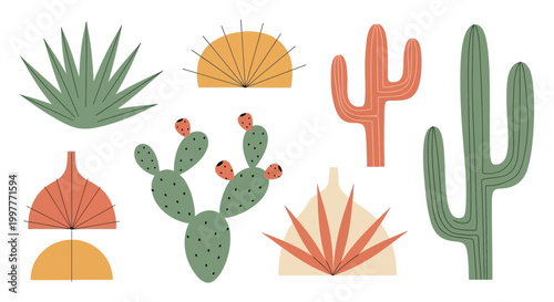 A mid-century botanical set of vector cacti and succulents plants