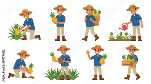 Cartoon man in various pineapple farming and harvesting activities outdoors