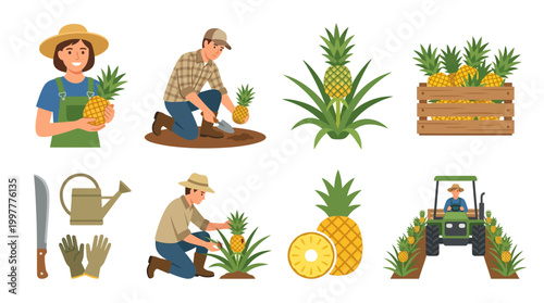 Cartoon farmers harvesting and tending to pineapples in various activities