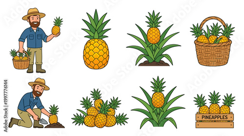 Cartoon farmer harvesting and displaying pineapples in various scenes