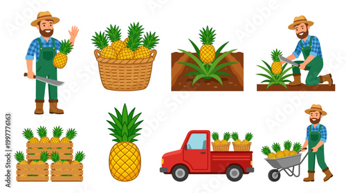 Cartoon farmer harvesting and selling pineapples in various scenes