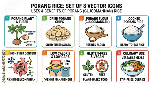 Porang rice benefits and uses including plant, chips, flour, cooked rice, high fiber content, low calorie, gluten free, and culinary applications