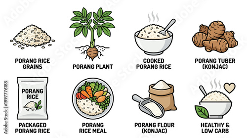 Porang rice and konjac products illustrated in various forms and uses