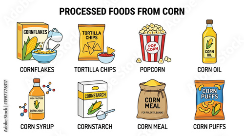 Processed foods made from corn including snacks and ingredients used in cooking and baking daily