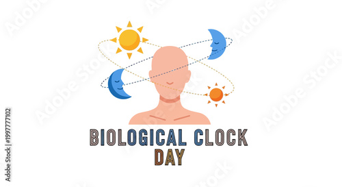 Conceptual vector illustration for Biological Clock Day featuring a stylized human silhouette with sun and moon phases orbiting around it, set against a clean white background