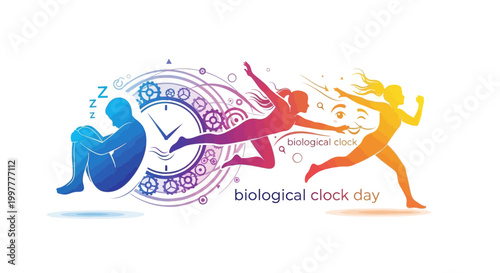 A vibrant vector illustration showcasing the concept of Biological Clock Day, depicting the transition from sleep to activity with human silhouettes and clockwork elements, set