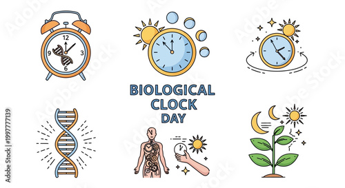 A vibrant vector illustration promoting Biological Clock Day, showcasing various biological and circadian rhythm concepts with clock faces, a DNA strand, and a human figure against a clean