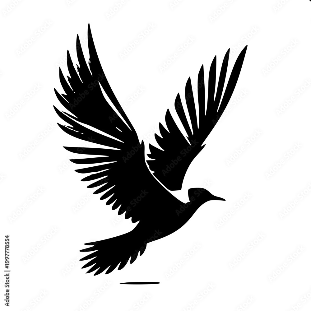 Fototapeta premium Coastal Bird Motion Flight Silhouette