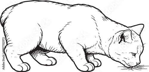 Schilderij op canvas Manx cat drinking black and white line art vector side view isolated