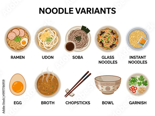Vector illustration of delicious noodle variants and their ingredients, a culinary food guide