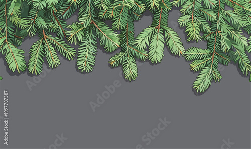 Green Pine Branches as Nature Background