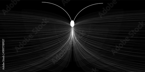 Set of two radial hypnotic spirals, on transparent background