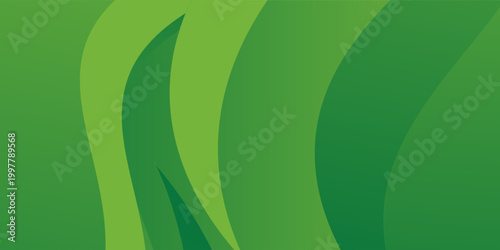 Abstract green curve background. Can be used covers, banners, wallpapers, flyers, brochures, books, print media, cards, web backgrounds. vector