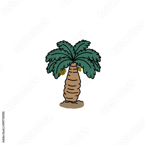 Butiazeiro brasileiro 