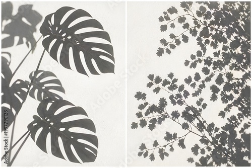 various shadow leaf patterns with a little blurring and bright