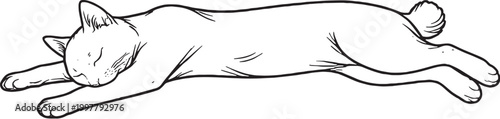 Japanese Bobtail Cat Sleeping Stretched Out Line Art Illustration Isolated Black And White Vector Feline Resting Pose