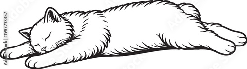 Cymric cat sleeping stretched relaxed pose fluffy tailless cat black and white line art illustration