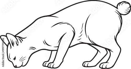 Japanese Bobtail Cat Eating Pose Line Art Illustration Isolated Black And White Vector Feline Feeding Behavior