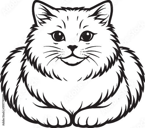 Cymric cat loaf sitting fluffy tailless cat black and white line art illustration