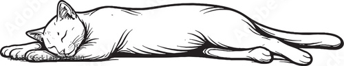 Bombay cat sleeping stretched out line art black and white vector isolated relaxed feline illustration