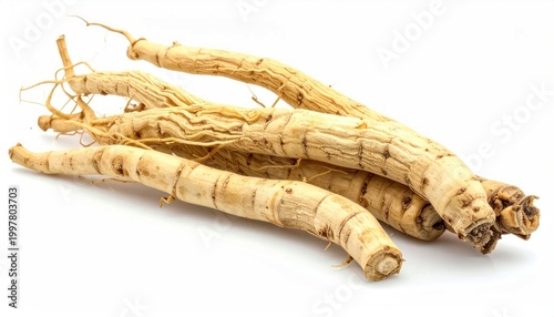 Freshly Harvested Organic Ginseng Roots on White Background.