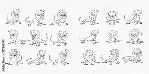 Frilled lizard cartoon character line art set in various poses, funny frill-necked dragon black and white drawing.