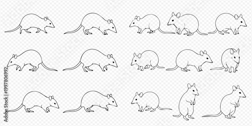 Set of outline drawings of rats in various poses, illustrating different actions and perspectives of the rodent.