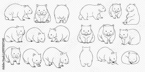 Cute Wombat Outline Illustrations in Various Poses and Angles, Perfect for Children's Books and Educational Materials.