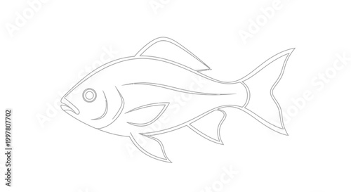 Minimalist Fish Line Art Vector Illustration