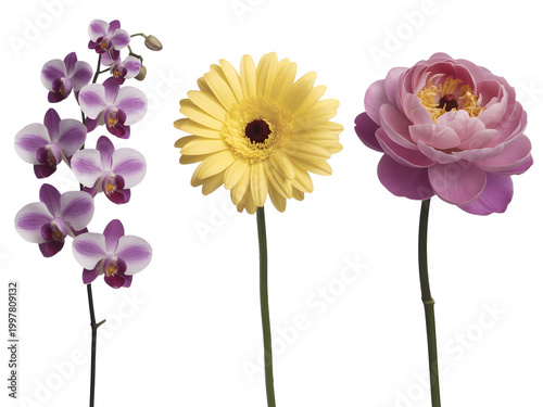 Three pixel art flowers with bright colors and simple design isolated on transparent background, illustration