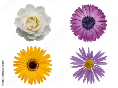 Colorful pixel art flowers with bright petals and dark centers in four styles isolated on transparent background, illustration