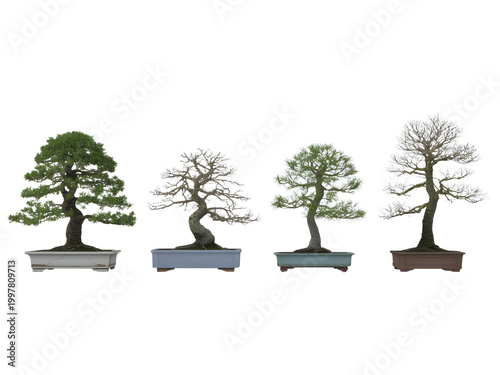 Four bonsai trees in different shapes and styles on stands isolated on transparent background, illustration