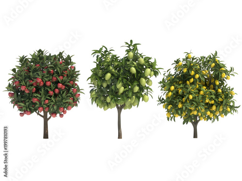 Three apple trees with green and red fruits in different growth stages isolated on transparent background, illustration