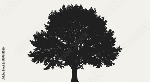 Silhouette of a large deciduous tree with a full crown, isolated on a light background.