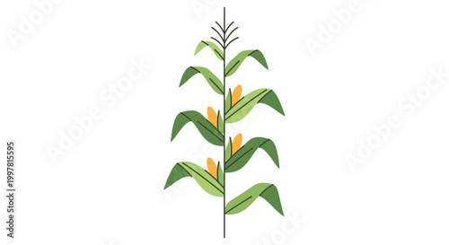 Stylized Corn Stalk with Cobs and Leaves, Minimalist Illustration