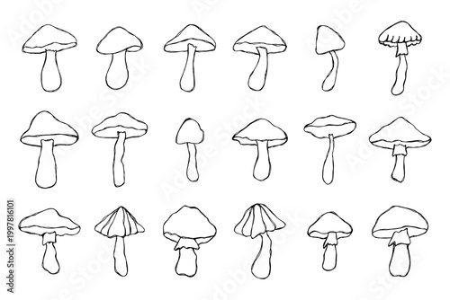 Hand drawn mushroom doodle set Botanical illustration Cute autumn mushroom Healthy eco food Organic vegetarian food For stickers, greeting card, design, print, packaging, decor, kids books