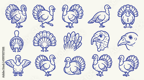A charming collection of hand-drawn turkey illustrations in various poses and styles, perfect for Thanksgiving or autumn themes.