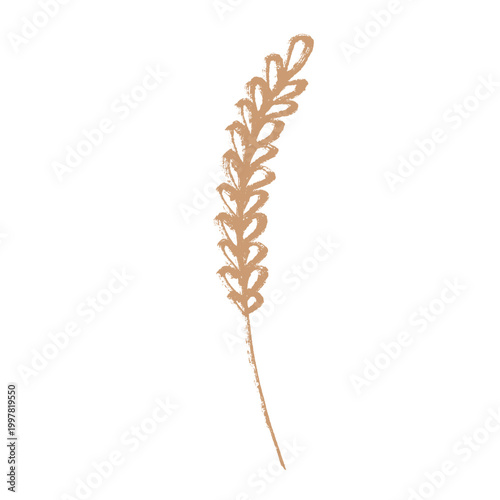 Hand drawn cereal wheat oat rye barley rice ears spikelet clipart Organic wheat bread agriculture farming harvest healthy food Single element for print packaging label design decor