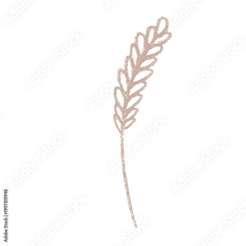 Hand drawn cereal wheat oat rye barley rice ears spikelet clipart Organic wheat bread agriculture farming harvest healthy food Single element for print packaging label design decor