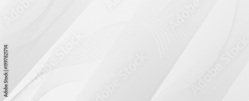 White and grey circular curve abstract background vector for presentation. Background and abstract concept.
