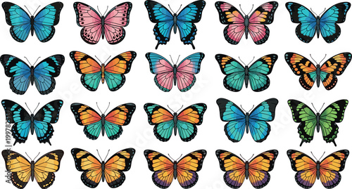 Colorful butterfly collection set vibrant realistic insect wings assorted species detailed nature illustration isolated on white background