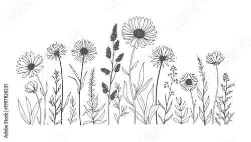 Black and white line of various wildflowers and grasses floral nature botanical outline
