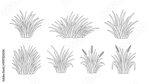 Collection of hand drawn grass clumps and wheat stalks nature