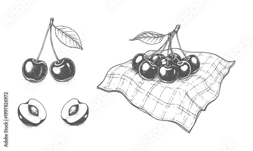 Hand drawn cherries and halved plums checkered cloth cherry fruit food vintage