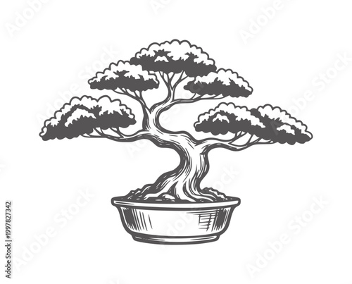 Stylized dark gray bonsai tree in a pot with textured foliage