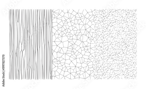 Three distinct line patterns vertical wood grain Voronoi tessellation cracked surface