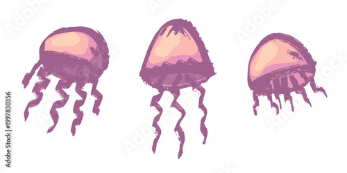 Set of hand drawn jellyfish doodle Sea animal illustration Cute marine underwater creature Medusa sketch clipart Single element for web, design, decor, children's print