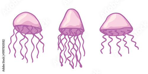 Set of hand drawn jellyfish doodle Sea animal illustration Cute marine underwater creature Medusa sketch clipart Single element for web, design, decor, children's print