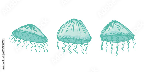 Set of hand drawn jellyfish doodle Sea animal illustration Cute marine underwater creature Medusa sketch clipart Single element for web, design, decor, children's print